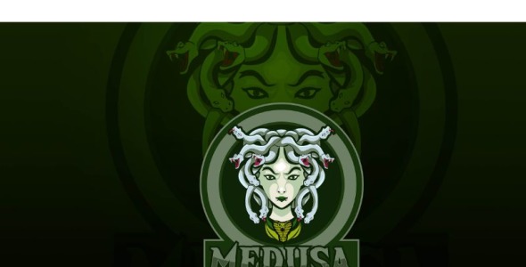 Шаблон логотипа на тему графика