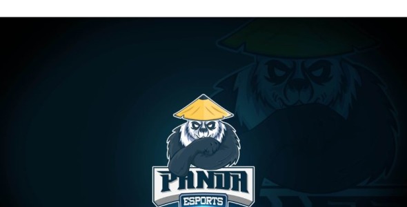 Шаблон логотипа на тему графика