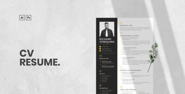 Резюме на тему графика