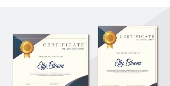 Шаблон сертификата на тему графика