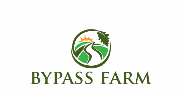 Шаблон логотипа на тему графика