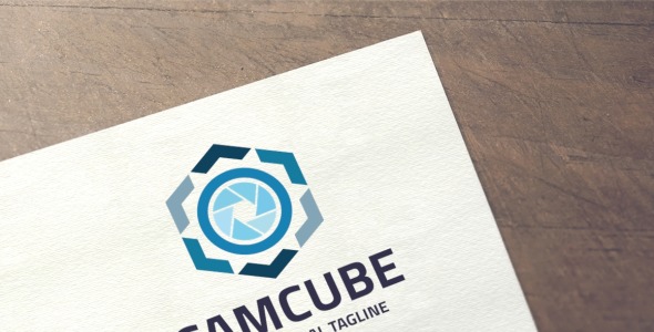 Шаблон логотипа на тему графика