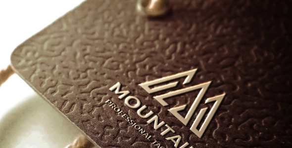 Шаблон логотипа на тему графика