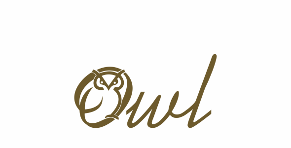 Шаблон логотипа на тему графика