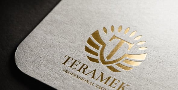 Шаблон логотипа на тему графика