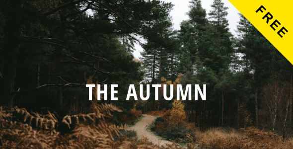 бесплатный креативный шаблон портфолио сайта drupal