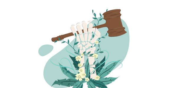 Иллюстрация на тему графика