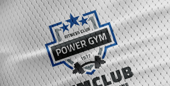 Шаблон логотипа на тему графика