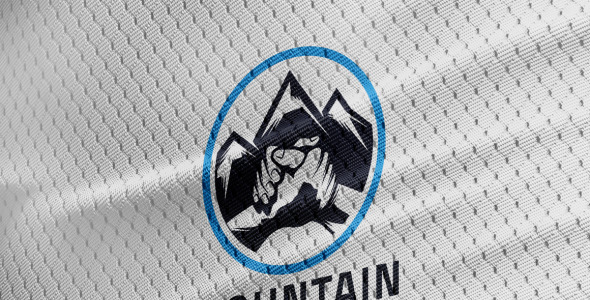 Шаблон логотипа на тему графика