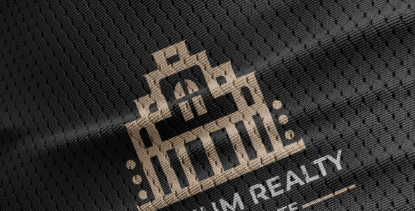 Шаблон логотипа на тему графика