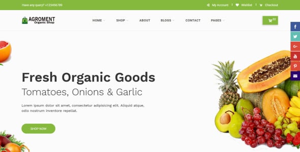 Agroment – Organic Food Website Template