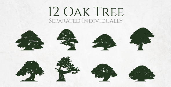 Иллюстрация на тему графика