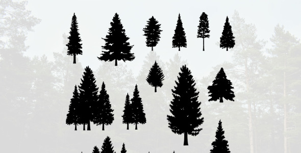 Иллюстрация на тему графика