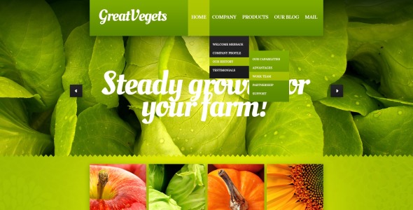 шаблон fruit drupal