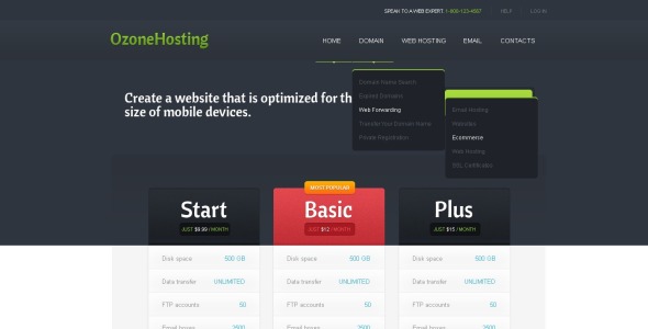 шаблон хостингового сайта