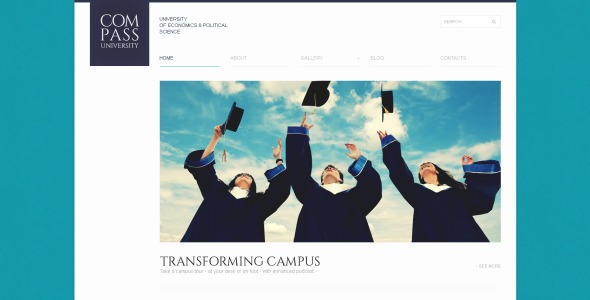 твердая университетская тема wordpress