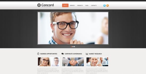 успешный бизнес drupal шаблон