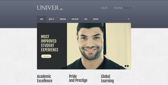 современный университетский шаблон drupal