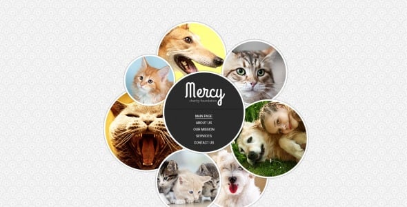 шаблон сайта приюта для животных