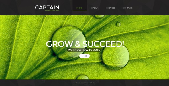 шаблон консультационного сайта