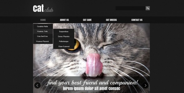 адаптивный шаблон сайта cat