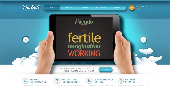 программный адаптивный шаблон сайта