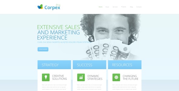 оптимистичное маркетинговое агентство drupal template