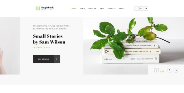 библиотека и магазин html5 шаблон сайта