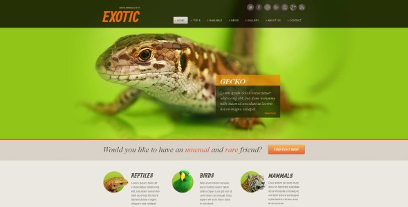 exotic pets moto cms html шаблон