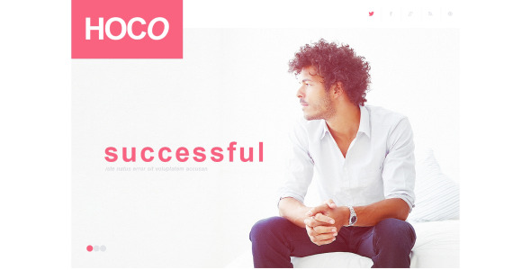 современная бизнес тема wordpress