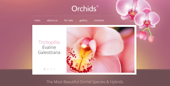 цветы адаптивный шаблон сайта