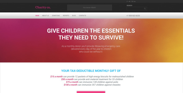 простая благотворительная тема wordpress