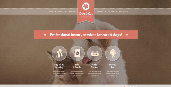 шаблон сайта cat