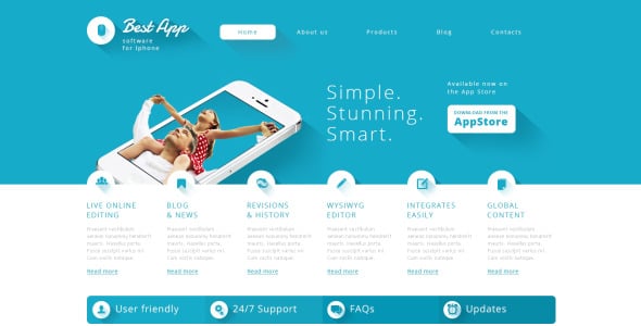 софтверная компания отзывчивая тема wordpress