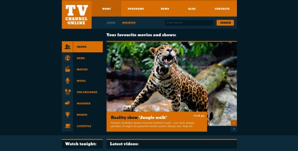 модный шаблон сайта телеканала