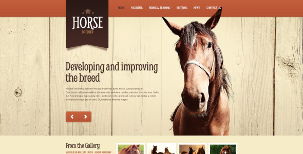 шаблон drupal horse spirit