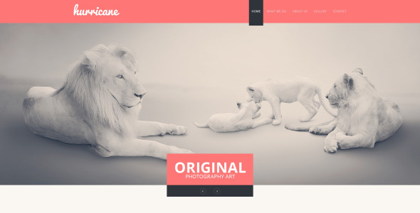 шаблон сайта портфолио фотографа