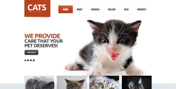 cat отзывчивый шаблон drupal