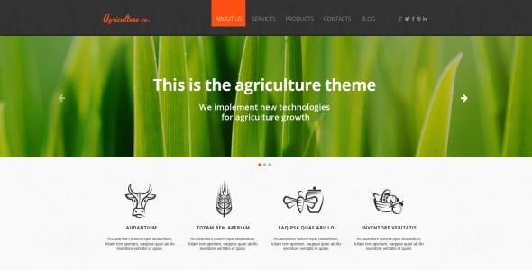 фруктовый адаптивный шаблон сайта