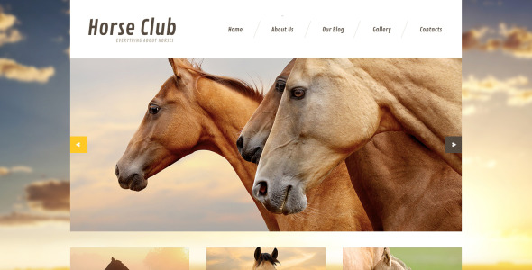 лошадь отзывчивый шаблон joomla