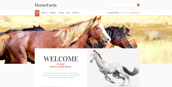 продвижение темы wordpress horse farms