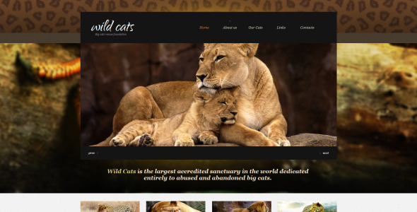 html шаблон wild life moto cms