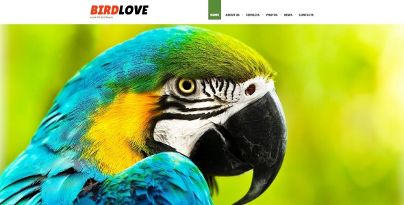 птицы отзывчивый шаблон joomla