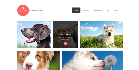 собака отзывчивая тема wordpress
