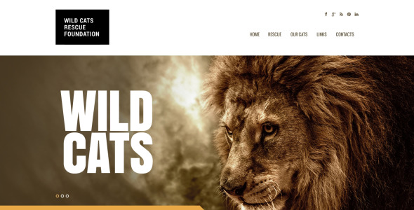 адаптивный шаблон сайта wild life