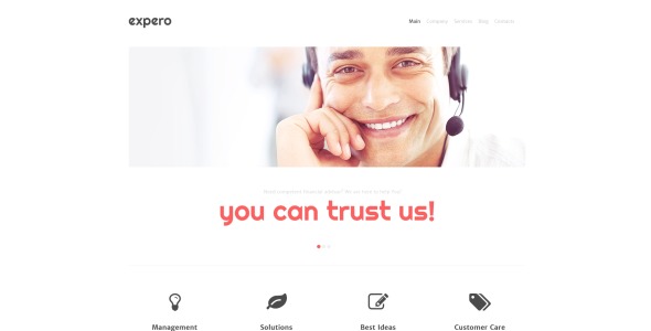 консалтинговая фирма wordpress theme