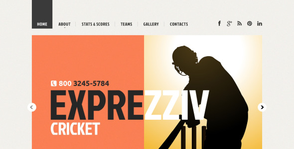 адаптивный шаблон сайта cricket