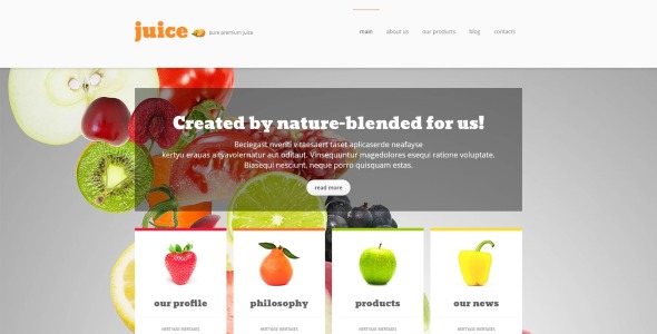 шаблон здорового питания joomla