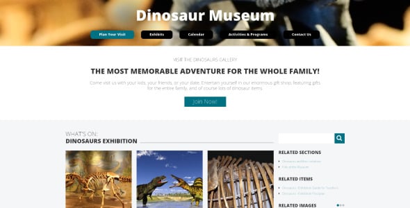 музей drupal шаблон