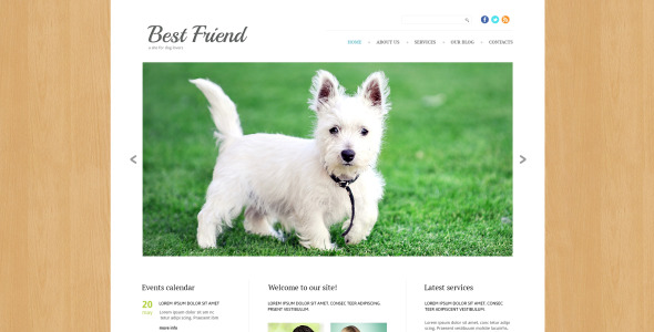 собака отзывчивый шаблон joomla